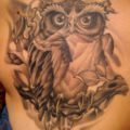 Birds Black & Grey Owl Tattoo