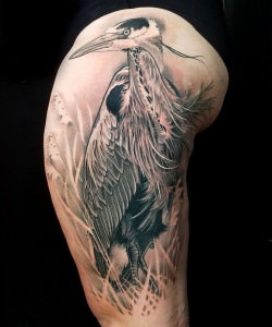 Animals Birds Black & Grey Leg Realistic/Realism Tattoo