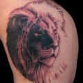 Black & Grey Lion Realistic/Realism Tattoo