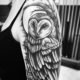 Animals Arm Owl Shoulder Tattoo