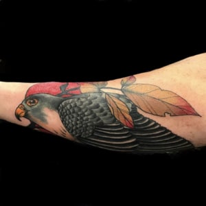 Animals Arm Birds Hawks/Eagles Neo-Traditional Tattoo