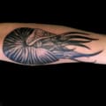 Animals Arm Black & Grey Nautical Tattoo