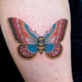 Butterfly Leg Traditional/Americana Tattoo