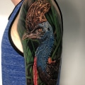 Animals Arm Birds Realistic/Realism Tattoo