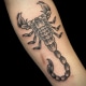 Animals Arm Black & Grey Traditional/Americana Tattoo