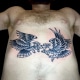 Animals Black & Grey Chest Hawks/Eagles Ribs/Sternum Traditional/Americana Tattoo