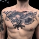 Animals Birds Black & Grey Chest Hawks/Eagles Traditional/Americana Tattoo