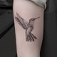 Animals Arm Birds Black & Grey Dotwork Realistic/Realism Tattoo